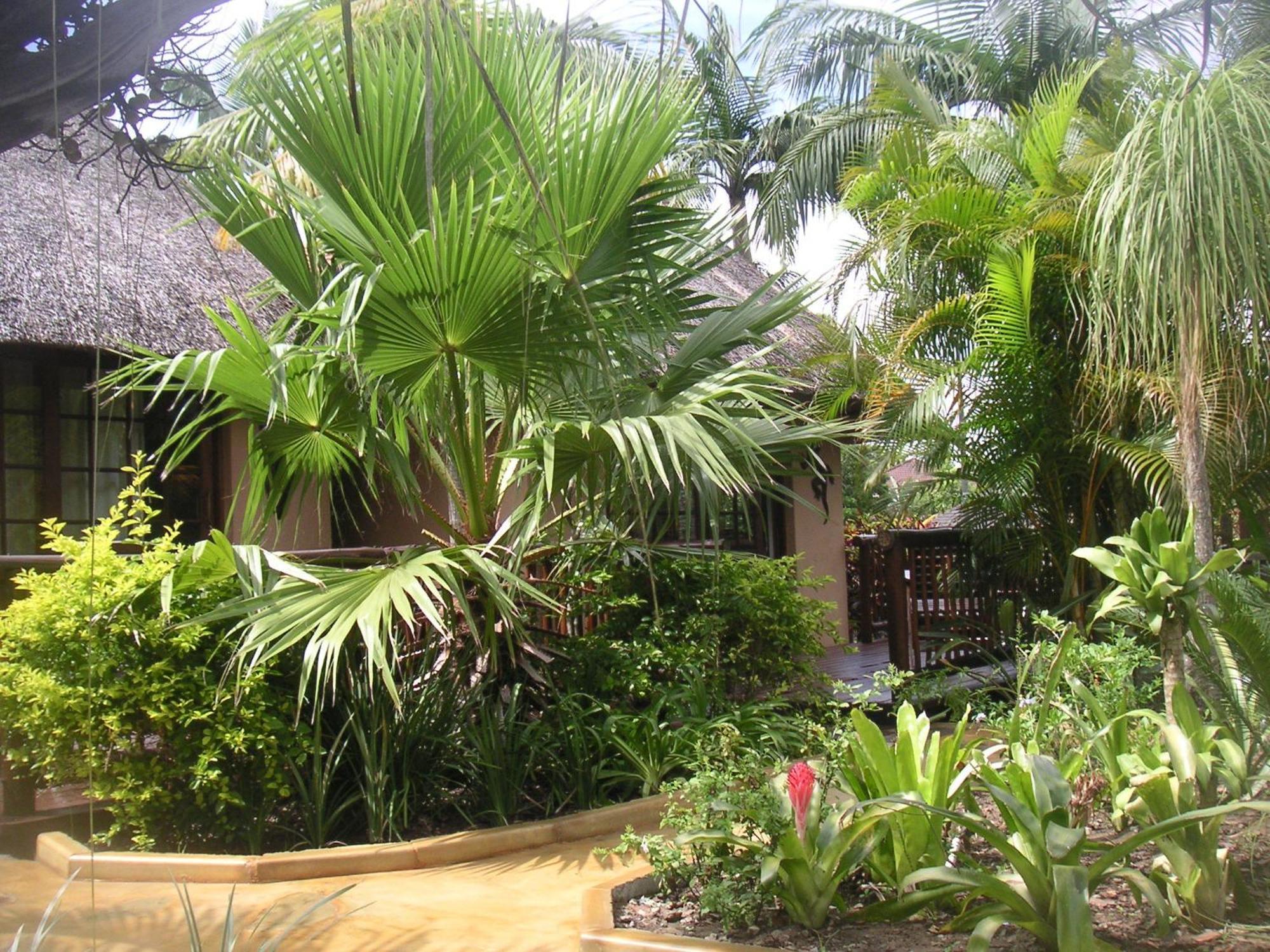 Afrikhaya Guest House Saint Lucia Estuary Exterior foto