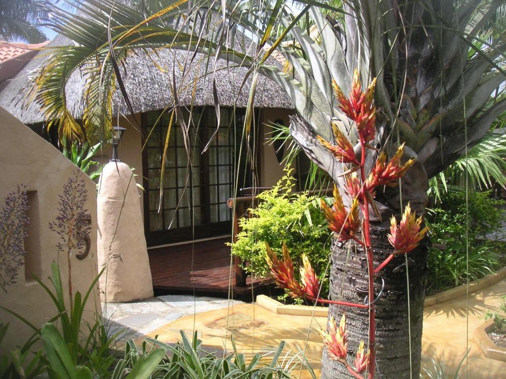 Afrikhaya Guest House Saint Lucia Estuary Exterior foto